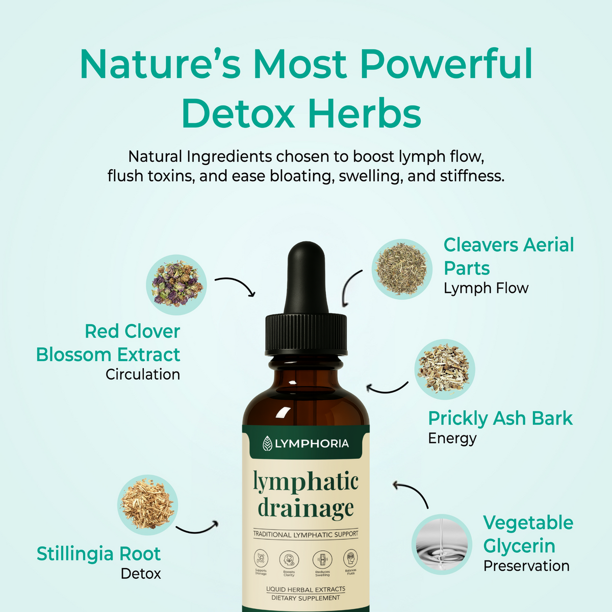 Pureslimlab Lymphatic Drainage Drops